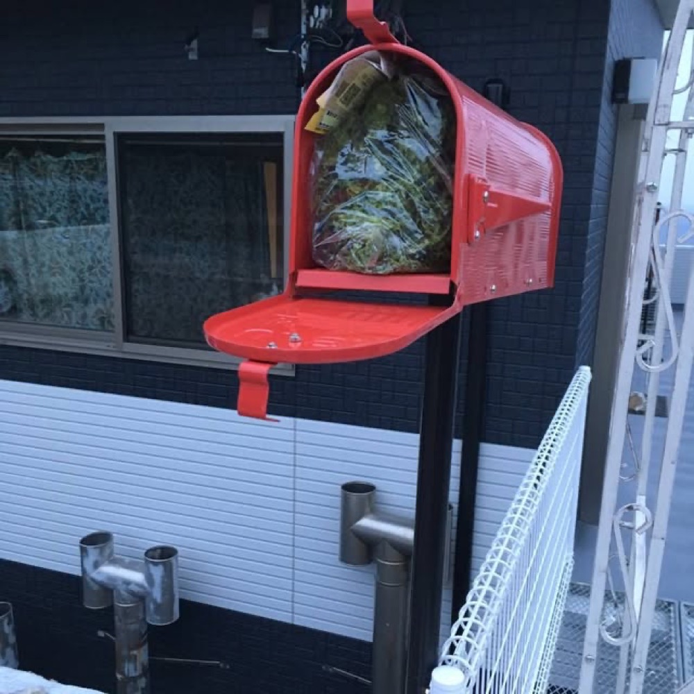 Aosa seaweed, crammed full into the mailbox.
