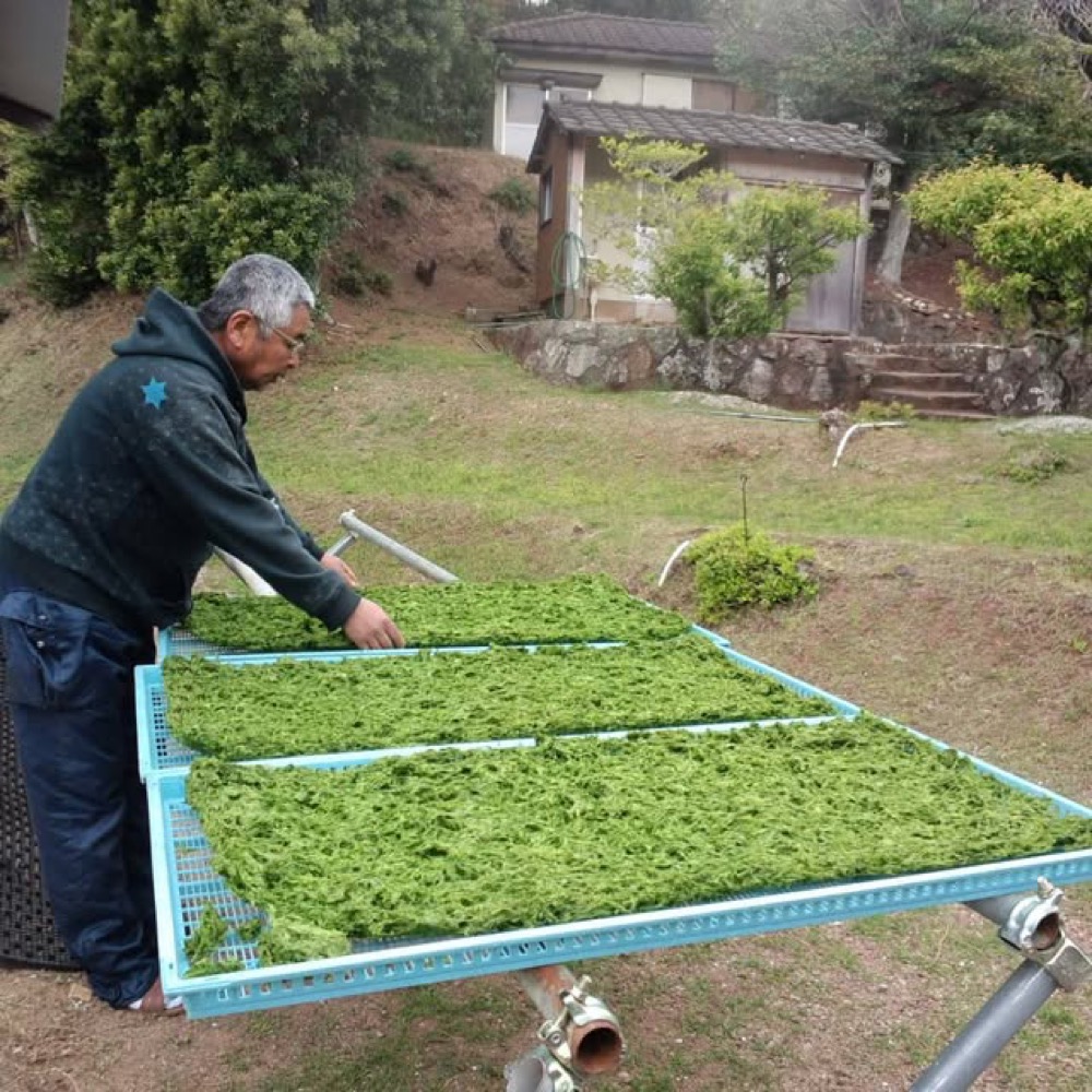 Drying aosa. This is how Seiya-san kept working, together with the sea.