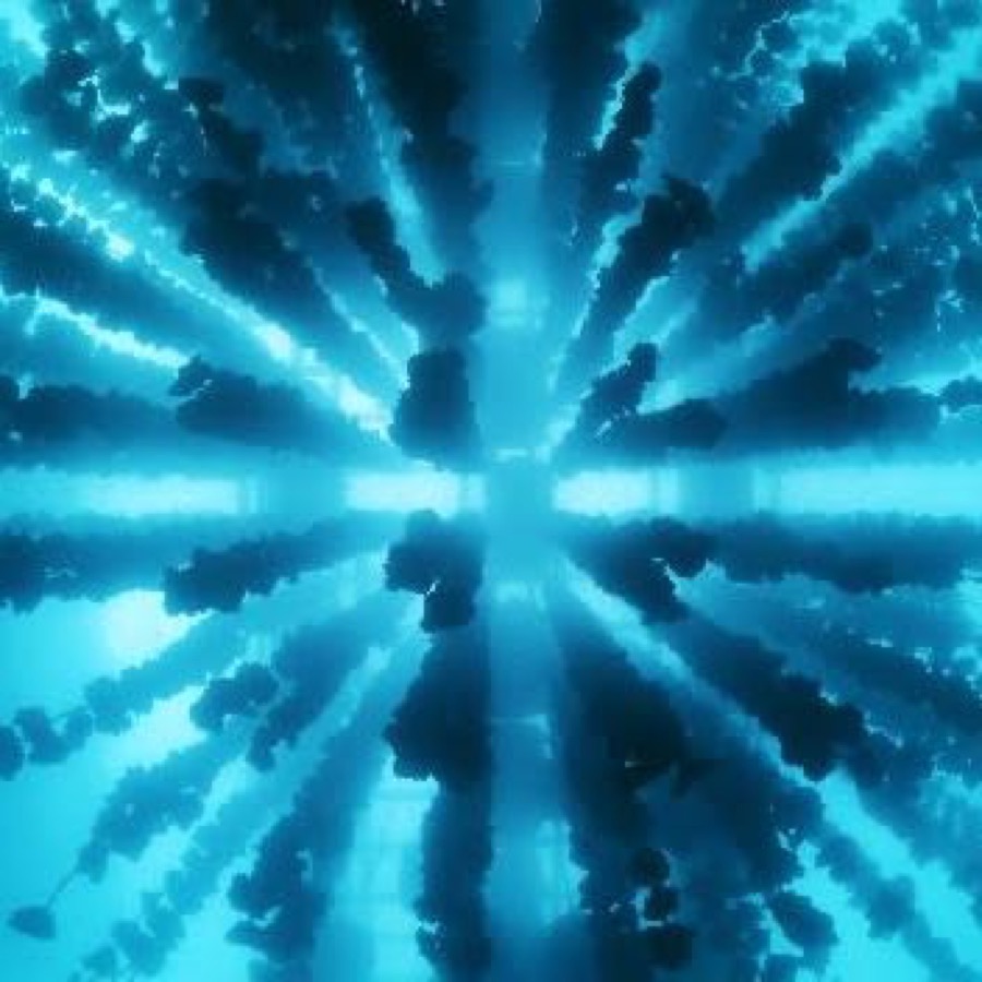 Looking up at an oyster-farming raft from the seabed — a scene where people's lives are close at hand.